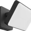 Philips Hue Discover Verstraler - Wit En Gekleurd Licht - Zwart 1 Philips Hue Discover Verstraler - Wit En Gekleurd Licht - Zwart -Buitentuin Winkel 1200x925 9