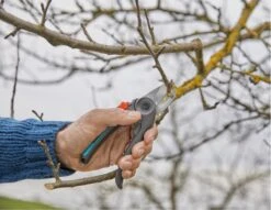 GARDENA - ExpertCut - Snoeischaar - 22 Diameter Tak 21 GARDENA - ExpertCut - Snoeischaar - 22 Diameter Tak -Buitentuin Winkel 1200x929 3