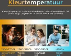 Proventa Plafondlamp Met Bewegingssensor LED - Binnen & Buiten - Koel Wit - 33 Cm -Buitentuin Winkel 1200x948 5