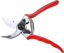 Felco 2 Snoeischaar - Rechtshandig - Max. Knipdiameter 25 Mm - Lengte 215 Mm 24 Felco 2 Snoeischaar - Rechtshandig - Max. Knipdiameter 25 Mm - Lengte 215 Mm -Buitentuin Winkel 1200x997 2