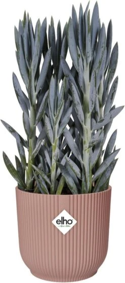 Elho Vibes Fold Rond Wielen 35 - Bloempot Voor Binnen - Ø 34.9 X H 32.4 Cm - Delicaat Roze -Buitentuin Winkel 531x1200 4