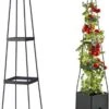 Merkloos Tomaten - Kruipplant Met Wateropslagfunctie -Buitentuin Winkel 631x1200 1