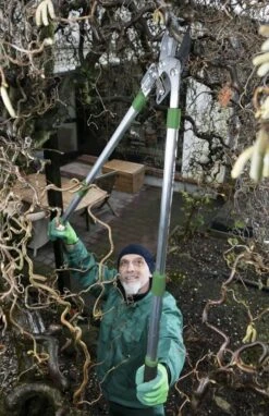 Telescopische Takkenschaar, 6-voudig 8 Telescopische Takkenschaar, 6-voudig -Buitentuin Winkel 775x1200 1