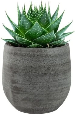 Pot Esra Mystic Grey Bloempot Binnen 15 Cm -Buitentuin Winkel 789x1200 1