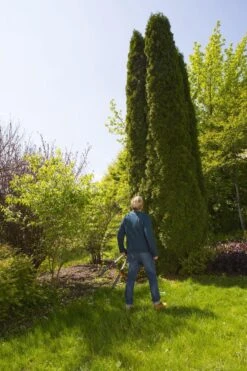 GARDENA TeleCut Heggenschaar - Telescopische Handgrepen Van 70-90 Cm -Buitentuin Winkel 799x1200 29