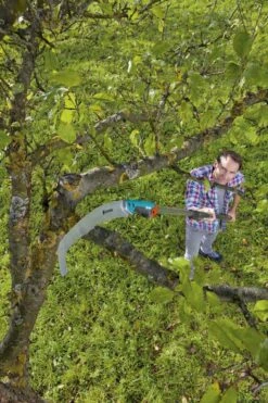 GARDENA Combisysteem Snoeizaag 300PP Curved Takkenzaag - Meslengte 315 Mm - Exclusief Verlengstok -Buitentuin Winkel 799x1200 48