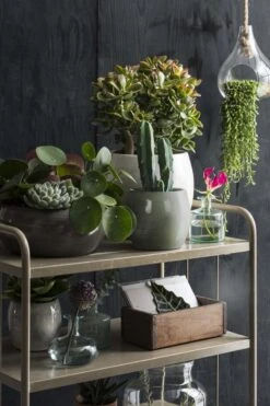 Mica Decorations Lester Bloempot - H31 X Ø33 Cm - Terracotta - Groen -Buitentuin Winkel 800x1200 181