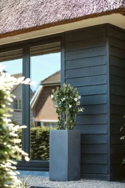 Capi Europe - Bloempot Rechthoek Smooth NL - 36x36x79 - Zwart - Voor Binnen En Buiten - KBL952 23 Capi Europe - Bloempot Rechthoek Smooth NL - 36x36x79 - Zwart - Voor Binnen En Buiten - KBL952 -Buitentuin Winkel 800x1200 183