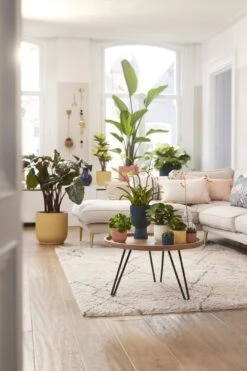 Elho Vibes Fold Rond Wielen 35 - Bloempot Voor Binnen - Ø 34.9 X H 32.4 Cm - Delicaat Roze -Buitentuin Winkel 800x1200 185