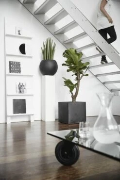 Capi Europe - Bloempot Vierkant Smooth NL - 40x40x40 - Zwart - Voor Binnen En Buiten - KBL903 -Buitentuin Winkel 800x1200 187