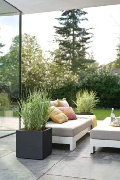 Elho Vivo Next Vierkant 30 - Plantenbak Voor Binnen & Buiten - Ø 29.5 X H 29.5 Cm - Zwart/Living Black -Buitentuin Winkel 800x1200 193