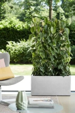 Elho Vivo Structure Finish Lang 90 - Plantenbak Voor Binnen & Buiten - Ø 88 X H 41 - Wit -Buitentuin Winkel 800x1200 194