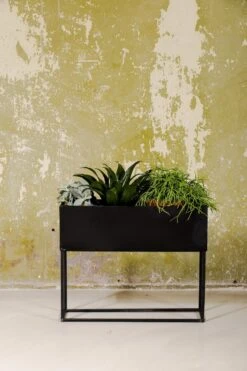 SENZA Rechthoekige Plantenbak - Bloemenbak Ijzer - 42.5 X 34cm - Zwart 7 SENZA Rechthoekige Plantenbak - Bloemenbak Ijzer - 42.5 X 34cm - Zwart -Buitentuin Winkel 800x1200 195