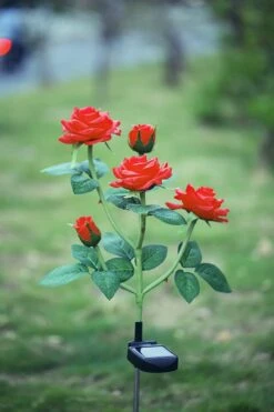 Merkloos 2 Stuks - Solar LED Rozen Tuinverlichting - IP65 Waterproof - Voor Buiten - Koraal Ontwerp - Decoratief Tuin Verlichting - Kunstbloemen Op Zonne- Energie - Tuinverlichting Op Zon Energie - Zonne Prikspot - Solar Tuindecor - Blauw -Buitentuin Winkel 800x1200 202