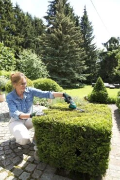 Bosch ISIO Gen III Accu Buxusschaar + Grasschaar -Buitentuin Winkel 800x1200 70