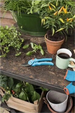 GARDENA - Classic B/S-M Bypass Snoeischaar - Ø 22mm - 25 Jaar Garantie -Buitentuin Winkel 800x1200 72