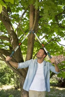 Gardena TeleCut Takkenschaar 650-900 B - Uitschuifbare Armen - Tot Max 90 Cm -Buitentuin Winkel 800x1200 76