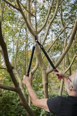 Kreator KRTGR4001 Takkenschaar - 650mm -Buitentuin Winkel 800x1200 78