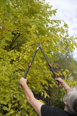 Kreator KRTGR4003 Telescopische Takkenschaar – Jong Hout - Knipdiameter: Ø34 Mm 9 Kreator KRTGR4003 Telescopische Takkenschaar – Jong Hout - Knipdiameter: Ø34 Mm -Buitentuin Winkel 800x1200 79