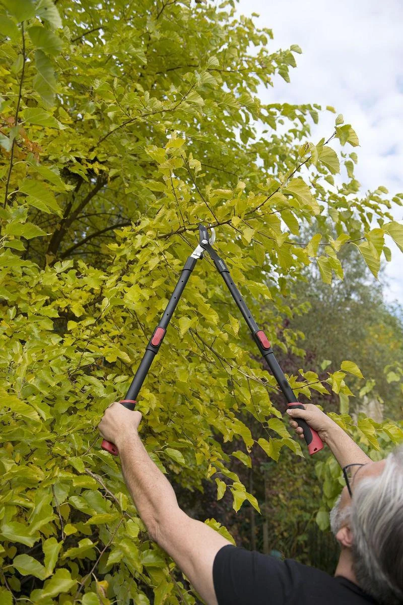 Kreator KRTGR4003 Telescopische Takkenschaar – Jong Hout - Knipdiameter: Ø34 Mm 6 Kreator KRTGR4003 Telescopische Takkenschaar – Jong Hout - Knipdiameter: Ø34 Mm - Afbeelding 4