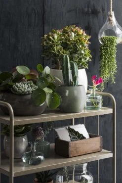 Mica Decorations Lester Bloempot - H31 X Ø33 Cm - Terracotta - Groen -Buitentuin Winkel 801x1200 33