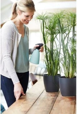 Elho Brussels Sprayer 12 - Plantenspuit Voor Binnen - Ø 11.3 X H 22.3 Cm - Groen/Mint -Buitentuin Winkel 813x1200 6