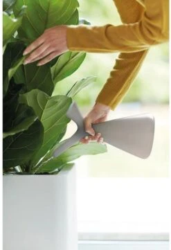 Elho Plunge Gieter 20 - Gieter Voor Binnenaccessoires - Ø 15.0 X H 29.5 Cm - Grijs/Warm Grijs -Buitentuin Winkel 820x1200 5