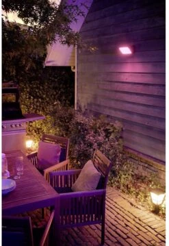 Philips Hue Discover Verstraler - Wit En Gekleurd Licht - Zwart -Buitentuin Winkel 825x1200 19