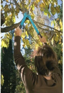 GARDENA Comfort 500 BL Takkenschaar - Max Knipdiameter 35 Mm -Buitentuin Winkel 825x1200 7