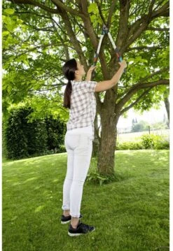 GARDENA - TeleCut Telescopische - Takkenschaar 520-670B - 42 Mm Verstelbare Lengte -Buitentuin Winkel 826x1200 1