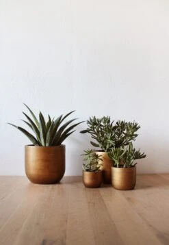 Capi Europe - Set Van 4 - Bloempot Binnen - Retro - - Goud - Bloempot Voor Binnen - BOX-BRTG-4 -Buitentuin Winkel 829x1200 2