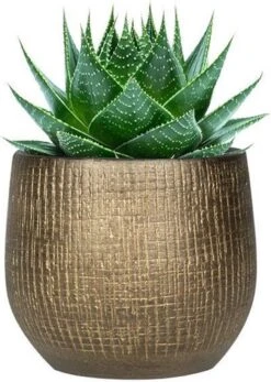 Set Van 2x Stuks Plantenpotten/bloempotten In Een Strakke Modern Design Look Metal Goud Dia 22 Cm En Hoogte 20 Cm -Buitentuin Winkel 853x1200 2