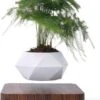 Floatey Design Plant | Zwevende Plant - Bloempot (levitation)