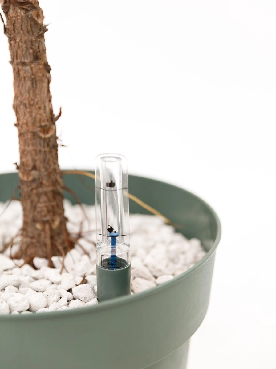 Watermeter Planten (Hydrokit) Ø30cm 4 Watermeter Planten (Hydrokit) Ø30cm - Afbeelding 2