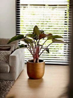 Capi Europe - Bloempot Bol Retro XL - 42x41 - Goud - Bloempot Voor Binnen - Opening ⌀36 - RTG933 -Buitentuin Winkel 900x1200 19