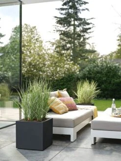 Elho Vivo Next Vierkant 40 - Plantenbak Voor Binnen & Buiten - Ø 39.0 X H 37.9 Cm - Zwart/Living Black -Buitentuin Winkel 900x1200 31