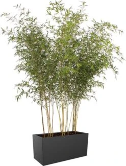 Elho Vivo Matt Finish Lang Wielen 90 - Grote Staande Plantenbak Voor Binnen & Buiten - Gemaakt Van Gereycled Plastic - L 39 X W 88 X H 41 Cm - Zwart -Buitentuin Winkel 911x1200 2