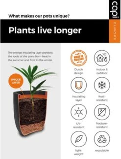 Capi Europe - Bloempot Rechthoek Smooth NL - 36x36x79 - Zwart - Voor Binnen En Buiten - KBL952 25 Capi Europe - Bloempot Rechthoek Smooth NL - 36x36x79 - Zwart - Voor Binnen En Buiten - KBL952 -Buitentuin Winkel 919x1200 3