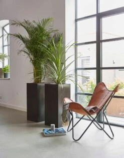 Capi Europe - Bloempot Rechthoek Smooth NL - 36x36x79 - Zwart - Voor Binnen En Buiten - KBL952 22 Capi Europe - Bloempot Rechthoek Smooth NL - 36x36x79 - Zwart - Voor Binnen En Buiten - KBL952 -Buitentuin Winkel 941x1200 1