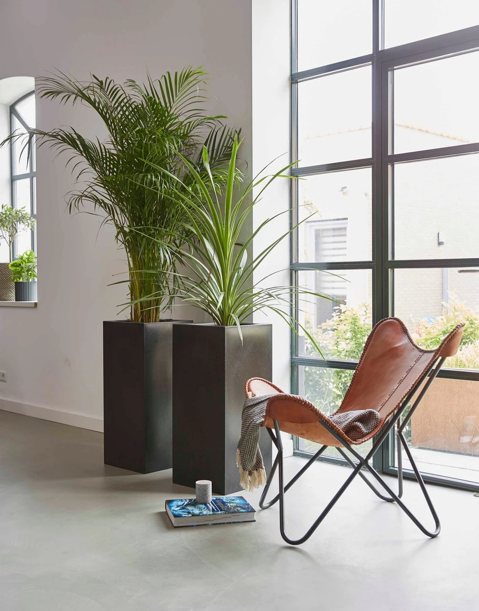 Capi Europe - Bloempot Rechthoek Smooth NL - 36x36x79 - Zwart - Voor Binnen En Buiten - KBL952 5 Capi Europe - Bloempot Rechthoek Smooth NL - 36x36x79 - Zwart - Voor Binnen En Buiten - KBL952 - Afbeelding 3