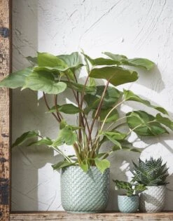 Mica Decorations Daan Bloempot - H17,5 X Ø19 Cm - Groen -Buitentuin Winkel 942x1200 3