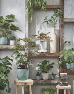 Mica Decorations Daan Bloempot - H17,5 X Ø19 Cm - Groen -Buitentuin Winkel 943x1200 2