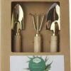 Botang 3-delige Metalen Tuingereedschap Set, Mini Troffel, Harkje En Transplanter - Opgelet Mini Set -Buitentuin Winkel 960x1200 2