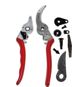 Felco 2 + GRATIS Felco Handschoenen In Cadeauverpakking -Buitentuin Winkel 987x1200