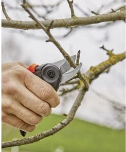 GARDENA - ExpertCut - Snoeischaar - 22 Diameter Tak 35 GARDENA - ExpertCut - Snoeischaar - 22 Diameter Tak -Buitentuin Winkel 999x1200 1